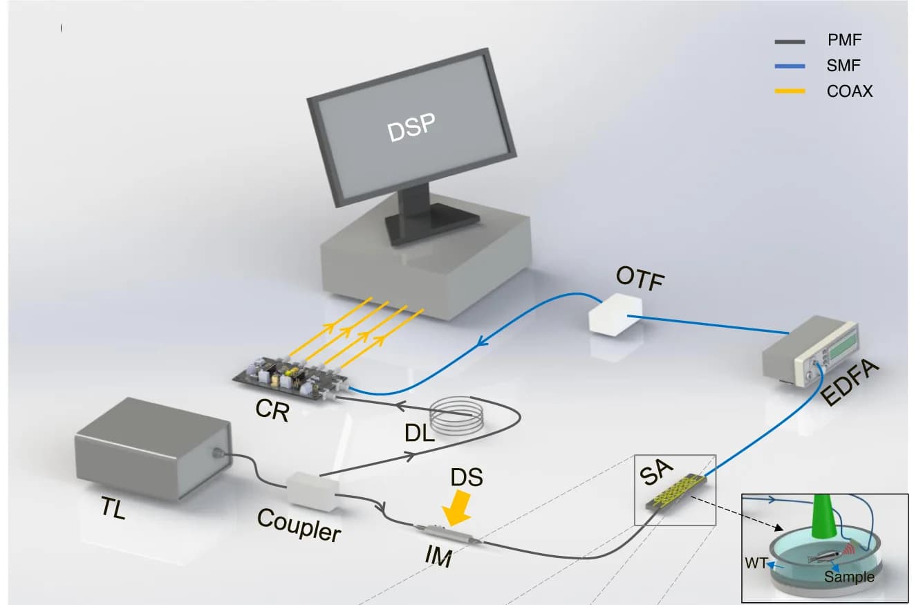 Open access visualization of Workflow, Illustration, Imaging System, Photoacoustic Signal, Tunable Laser
