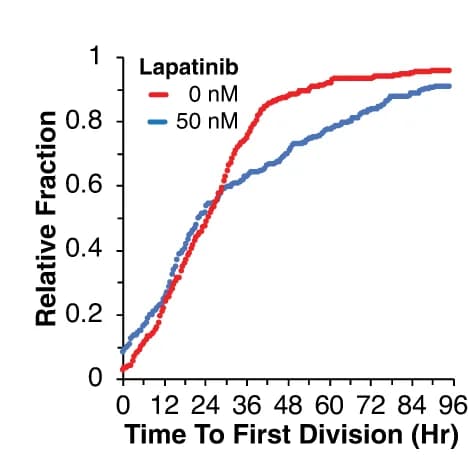 Open access visualization of Line Plot, Line Step, Cell Division, Time, Lapatinib