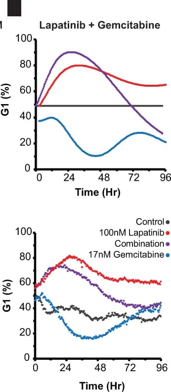 Open access visualization of Line Plot, Cell Cycle Phase, Lapatinib, Gemcitabine, Drug Combinations