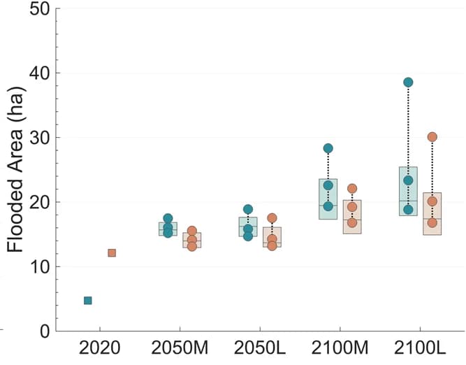 Open access visualization of Box Plot, Scatter Plot, Flooded Area, Beach, Storm Conditions