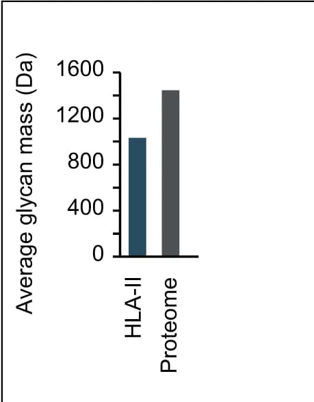 Open access visualization of Bar Plot, Glycan Mass, HLA Class II, Immunopeptidome, Proteome