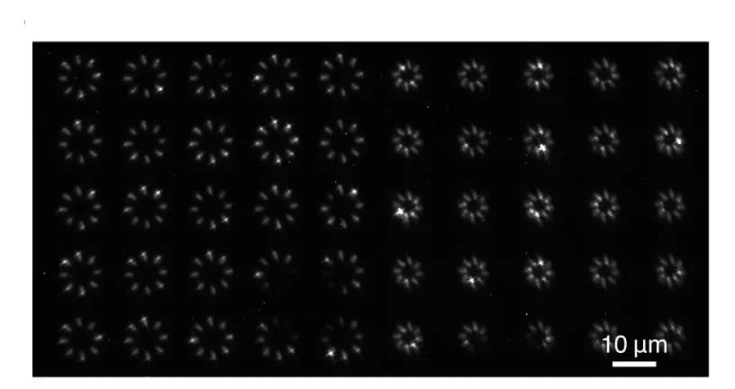 Open access visualization of Microscopy, EL Image, NanoLEDs, Array