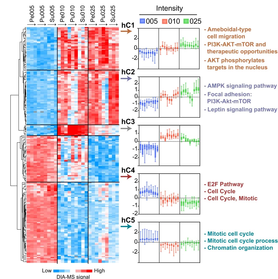 Open access visualization of Heatmap, Clustered, Error Bars, Line Plot, Student's T-test