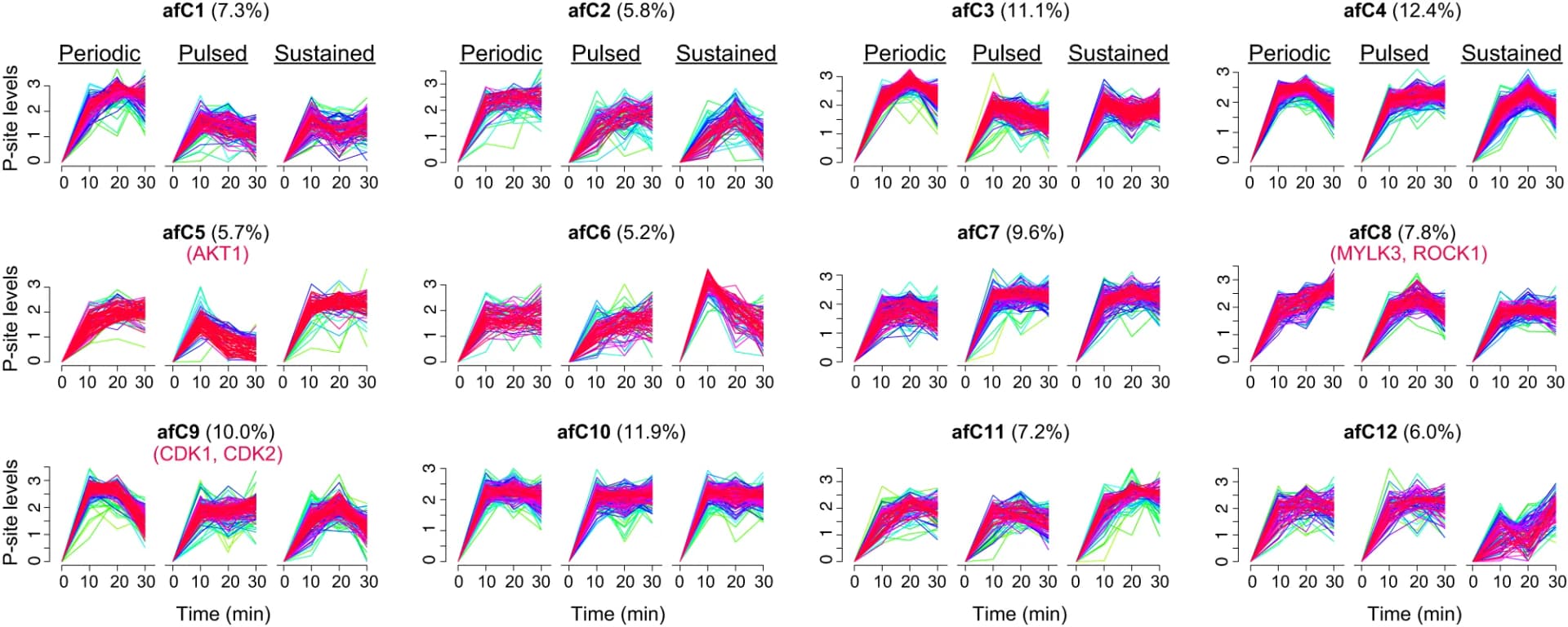 Open access visualization of Line Plot, FCM analysis, Akt1 activating P-sites, Kinases, P-site
