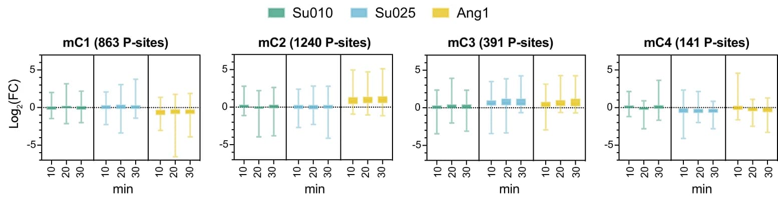 Open access visualization of Bar Plot, Error Bars, maSigPro analysis, Temporal profiles, Time-course datasets