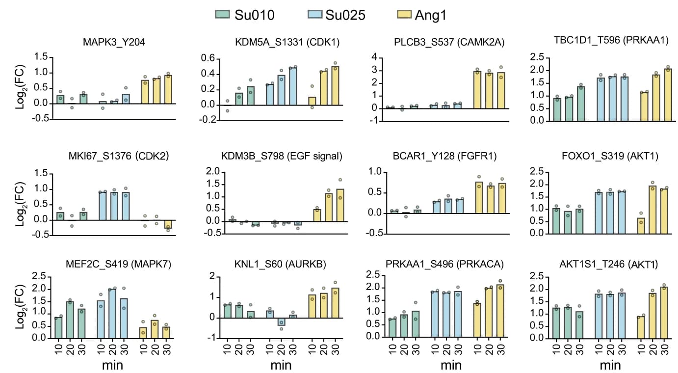 Open access visualization of Bar Plot, Scatter Plot, P-sites, Kinase, OmniPath