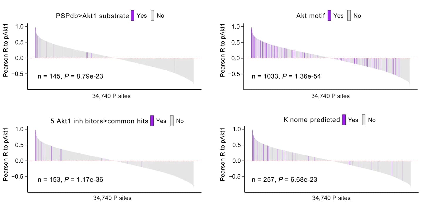 Open access visualization of Bar Plot, Pearson Correlation, Akt1, Phosphorylation Sites, Experiments