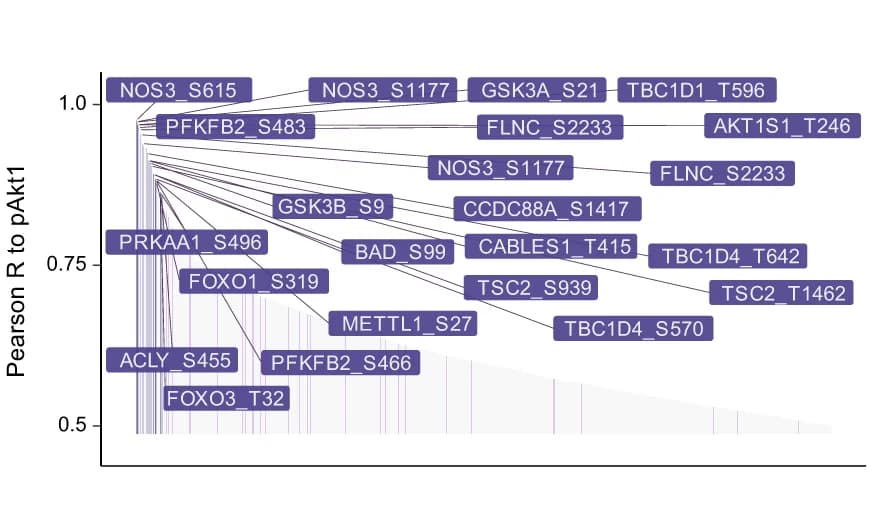 Open access visualization of Network, Akt1 Substrates, PSPdb, OptoCore, Pearson Correlation