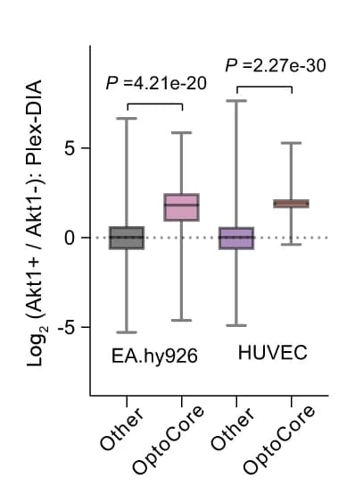 Open access visualization of Box Plot, mTRAQ ratios, plexDIA analysis, Kinase assay, FSBA
