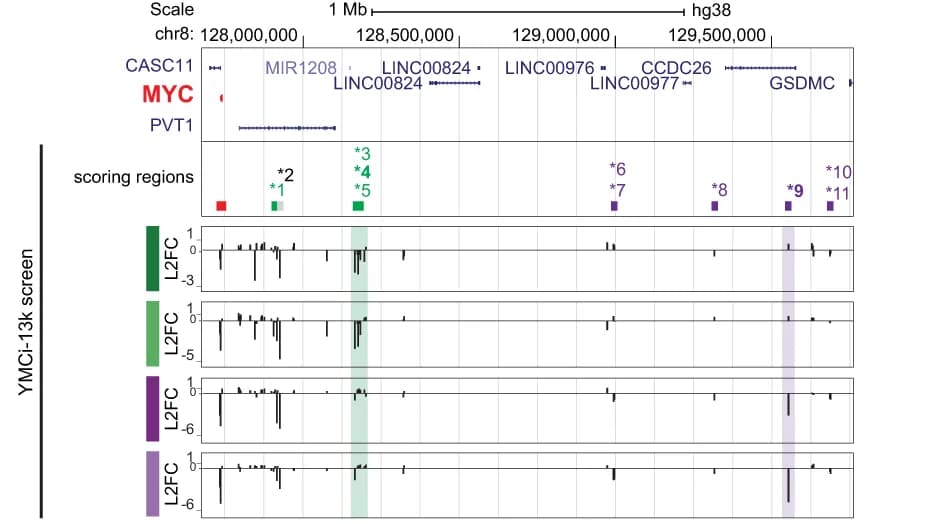 Open access visualization of Bar Plot, Manhattan Plot, Genome Browser, MYC Locus, Bigwig Tracks