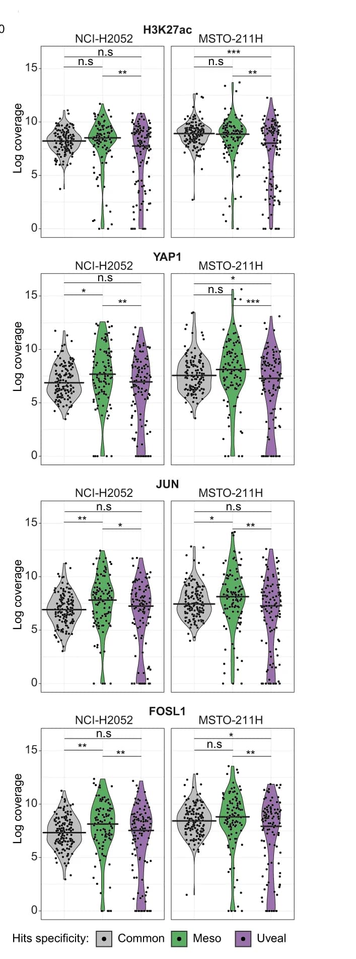 Open access visualization of Violin Plot, Box Plot, Scatter Plot, Cut&Tag, H3K27ac