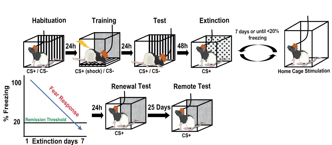 Open access visualization of Workflow, Line Plot, Experimental Design