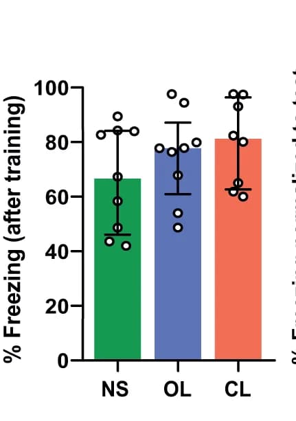 Open access visualization of Bar Plot, Error Bars, Scatter Plot, Fear Expression, Experimental Groups