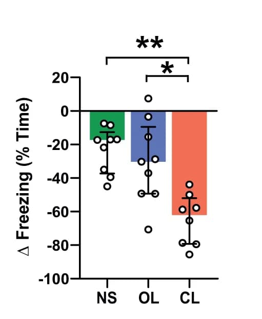 Open access visualization of Bar Plot, Scatter Plot, Error Bars, Closed-loop Neuromodulation, Fear Reduction