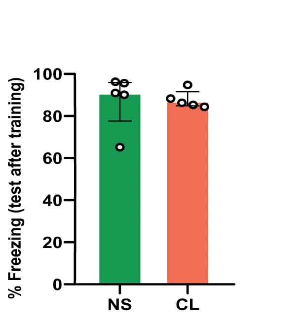 Open access visualization of Bar Plot, Error Bars, Fear Expression, Renewal, Non-stimulated Group