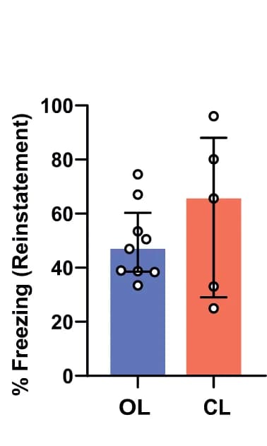 Open access visualization of Bar Plot, Error Bars, Scatter Plot, Fear Expression, Reinstatement