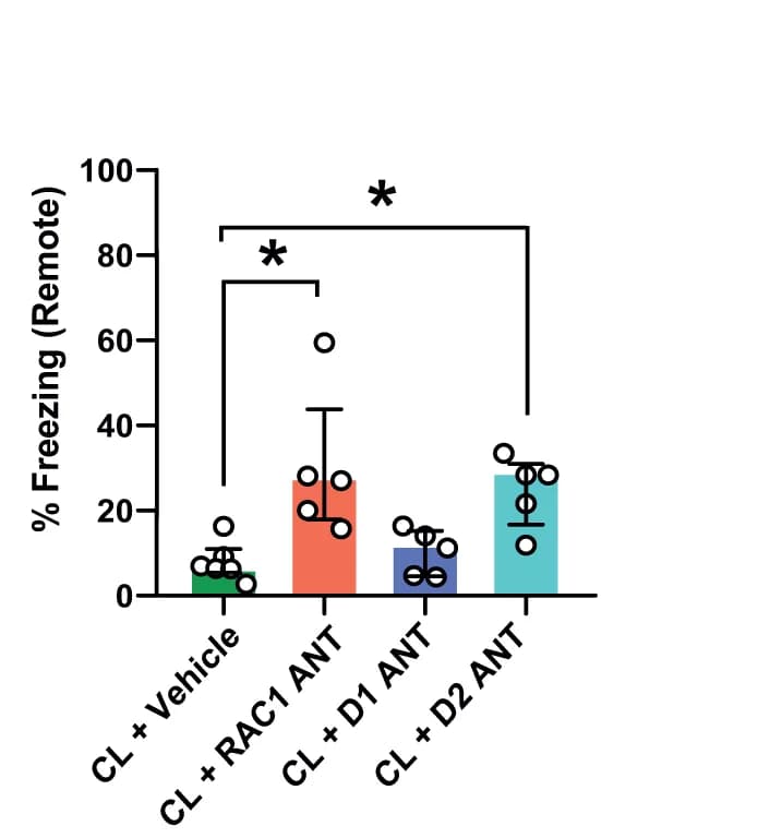 Open access visualization of Bar Plot, Error Bars, NSC2376, Sulpiride, Fear Recovery