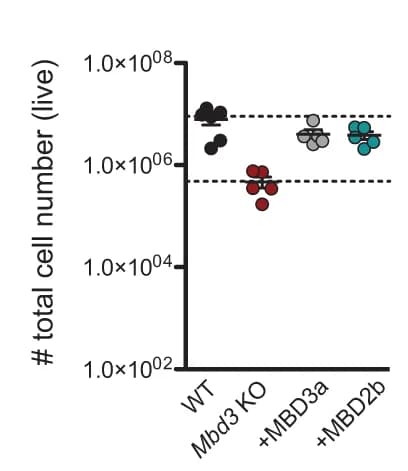 Open access visualization of Scatter Plot, Live Cells, EB Cultures, WT, Mbd3 KO