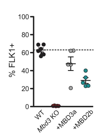 Open access visualization of Scatter Plot, Error Bars, FLK1+ Cells, EB Cultures, WT