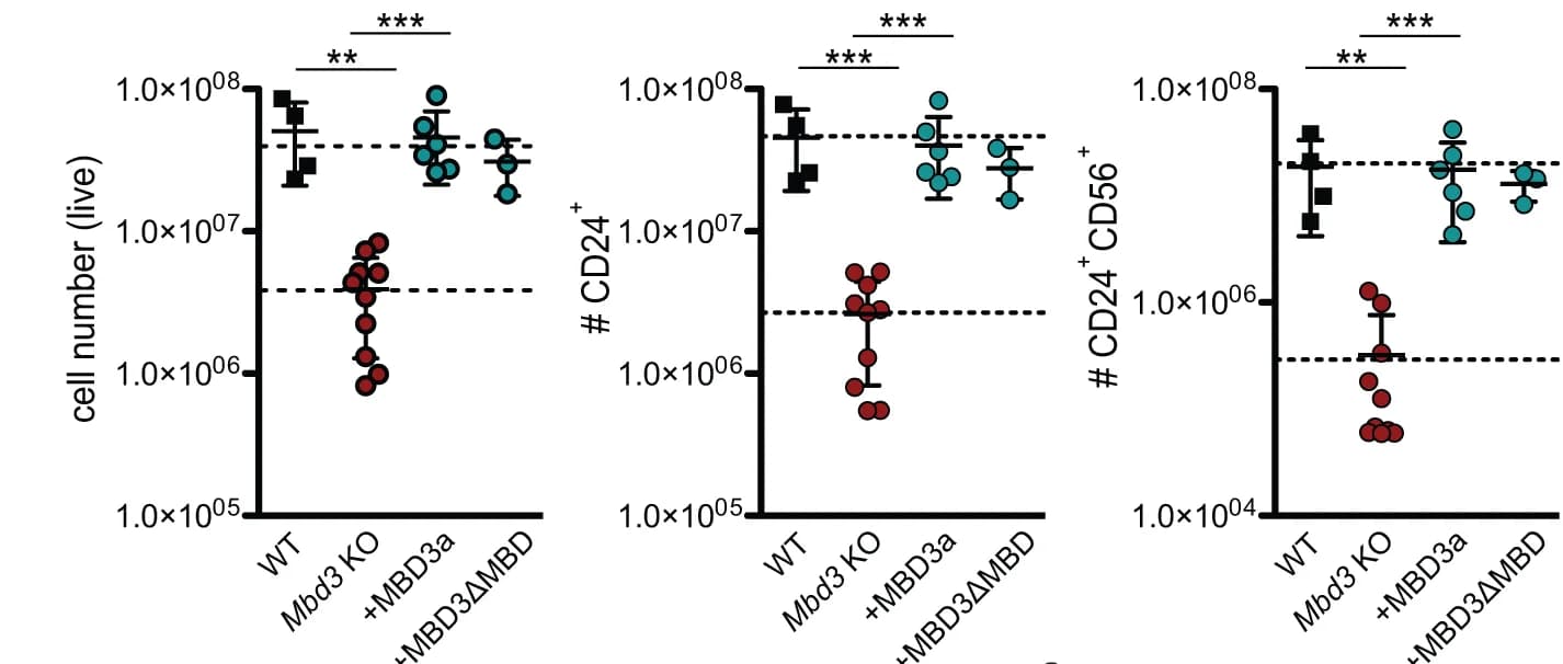 Open access visualization of Scatter Plot, Error Bars, Flow Cytometry, Live Cells, CD24+ Cells