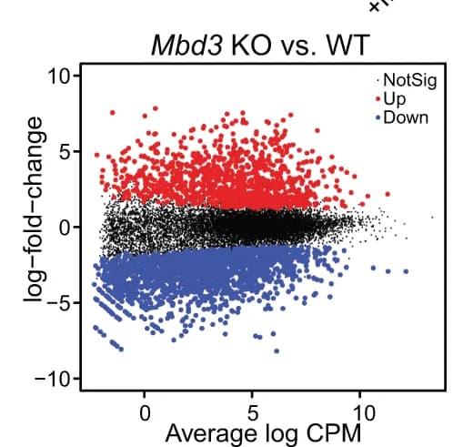 Open access visualization of Scatter Plot, Volcano Plot, MA-plots, Differential Gene Expression, Mbd3 KO