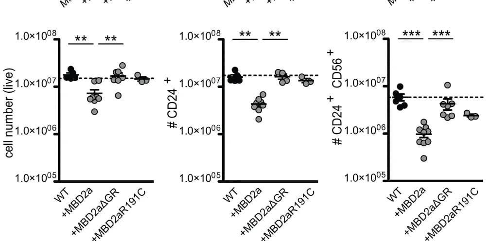 Open access visualization of Scatter Plot, Error Bars, Flow Cytometry, Live Cells, CD24+ Cells