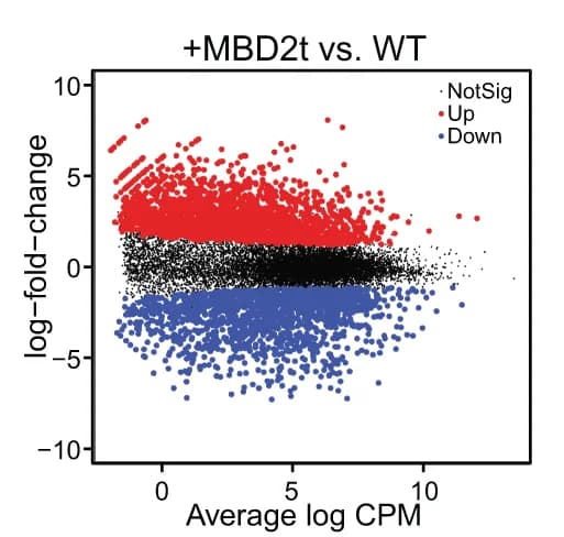 Open access visualization of Scatter Plot, Volcano Plot, MA-plots, Differential Gene Expression, NPC