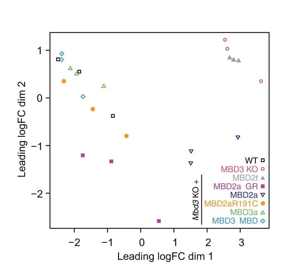 Open access visualization of Scatter Plot, Multi-Dimensional Scaling, MDS Plot, RNA-seq, NPC