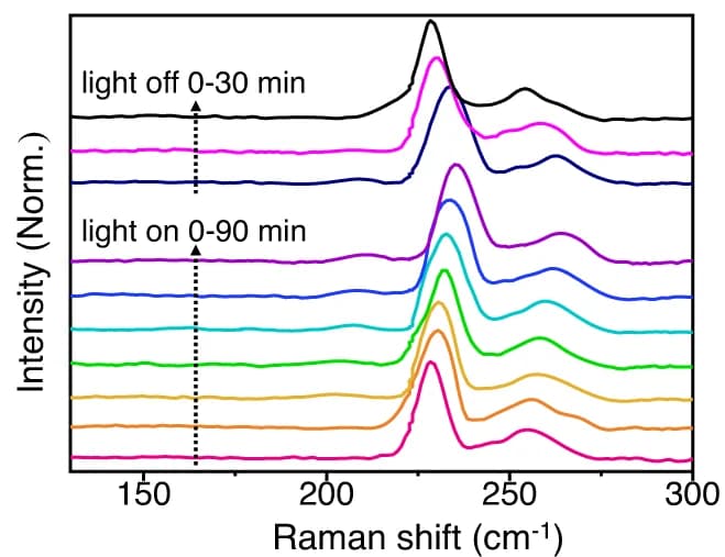 Open access visualization of Line Plot, Raman Spectra, ZnPor-RuCuDAC, Light-On Condition