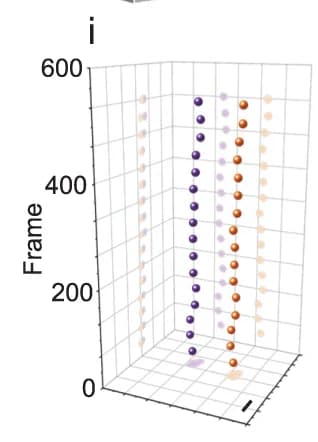 Open access visualization of 3D Plot, Phase-intensity separation, Scatter plot, Image stack, Nanorod