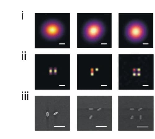 Open access visualization of Microscopy, Diffraction-limited darkfield images, Nanoprobes, PINE-resolved images, Scanning electron microscopy images