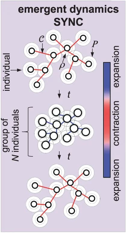 Open access visualization of Network, Pathway, SYNC Model, Schematic, Connection