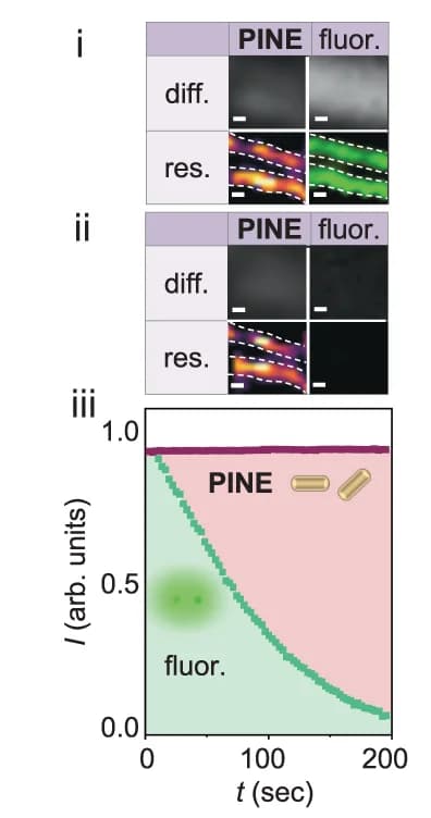 Open access visualization of Line Plot, Microscopy, Nonbleaching Nanoscopy, Fluorescence Super-resolution, PINE