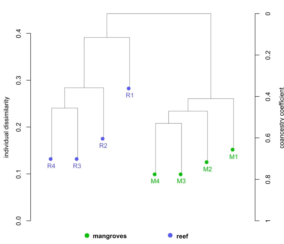 Open access visualization of Network, Hierarchical Clustering, Dendrogram, Shared Alleles, Genetic Differentiation
