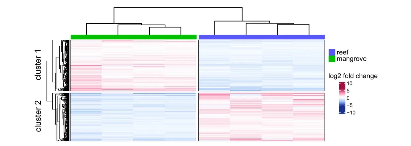 Open access visualization of Heatmap, Clustered, Differentially Expressed Genes, Gene Expression, K-Means Clustering
