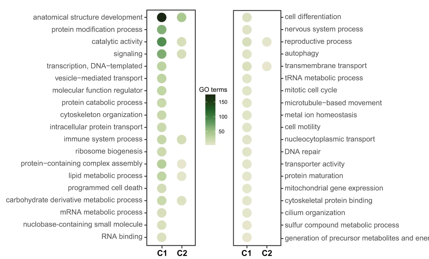 Open access visualization of Bubble Plot, Biological Functions, Gene Expression, Gene Ontology