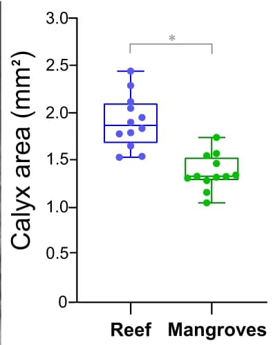 Open access visualization of Box Plot, Scatter Plot, Reef Corals, Mangrove Corals, Polyps