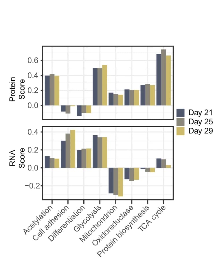 Open access visualization of Clustered, Bar Plot, Barplots, UniProt-keyword enrichment