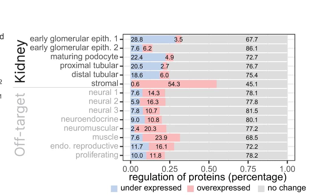 Open access visualization of Bar Plot, Stacked Bar Plot, Protein expression, Transcript markers, Cell clusters