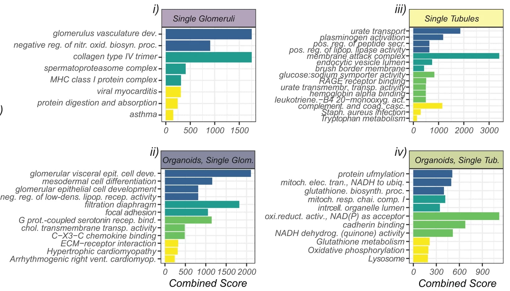 Open access visualization of Bar Plot, Over-representation Plots, Venn Diagram, Gene Ontology, Biological Process