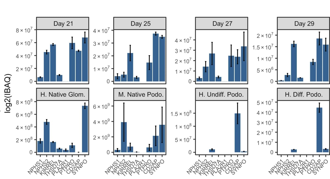 Open access visualization of Bar Plot, Error Bars, Protein Copy Number, IBAQ, Podocyte Markers