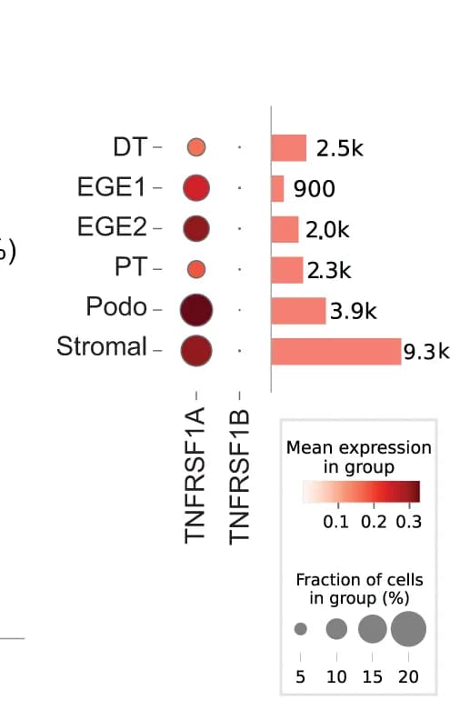 Open access visualization of Bar Plot, Bubble Plot, Dot Plot, Transcript Expression, TNFa-responsive Receptors