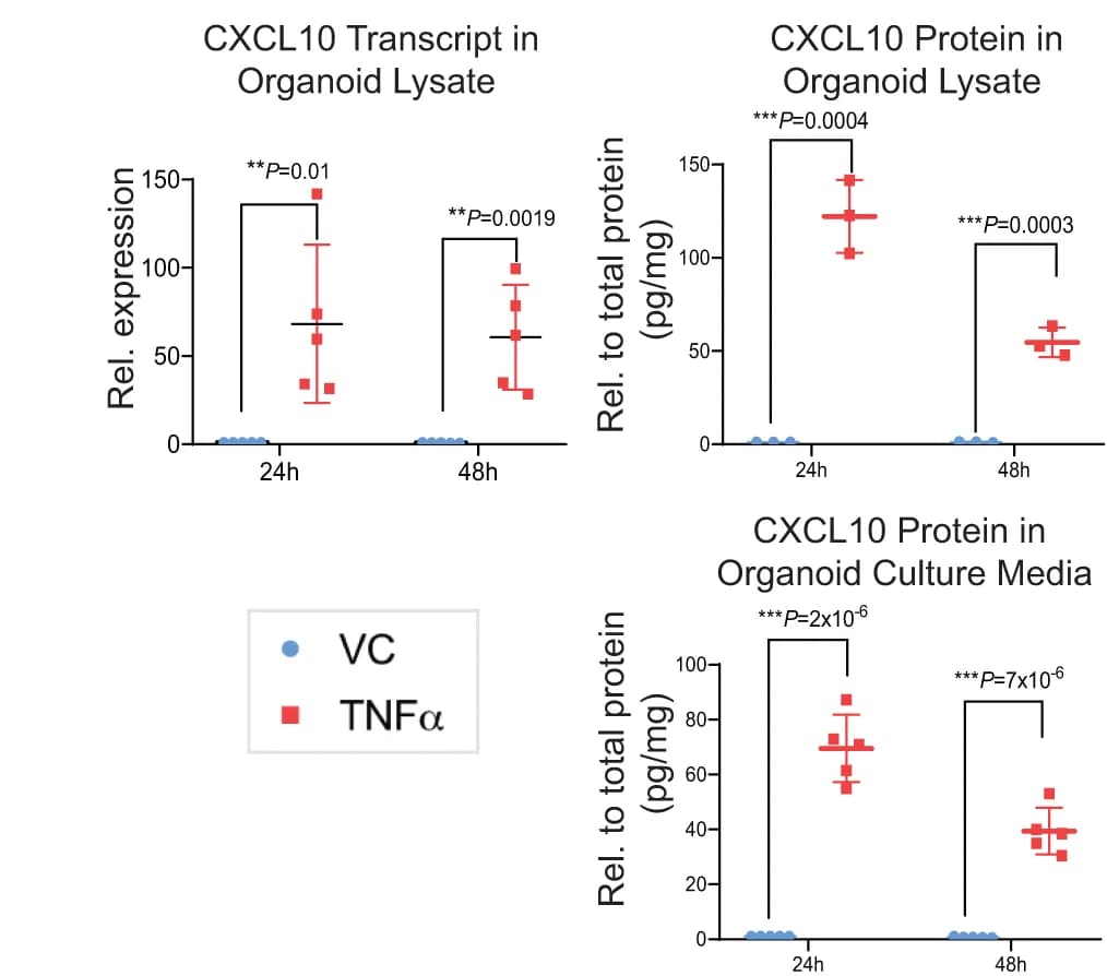 Open access visualization of Scatter Plot, Error Bars, CXCL10, Transcript, Protein