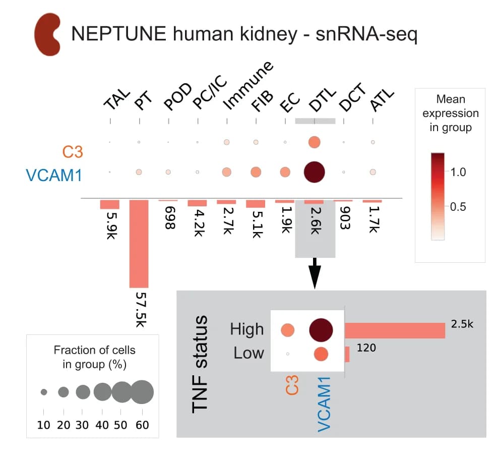 Open access visualization of Bar Plot, Scatter Plot, C3, VCAM1, Cell Type