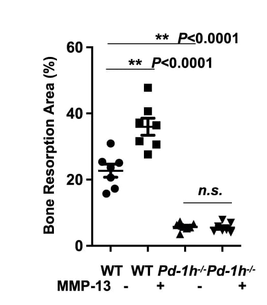 Open access visualization of Scatter Plot, Error Bars, Hematoxylin staining, Bone resorption, OCLs