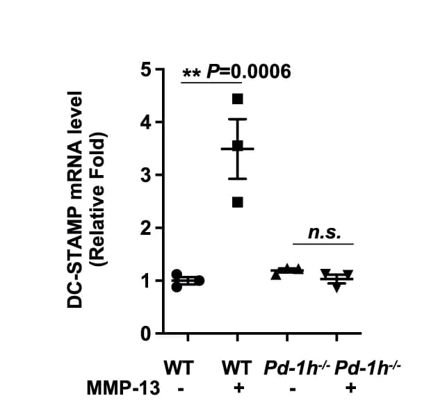 Open access visualization of Scatter Plot, Error Bars, Real-time PCR, DC-STAMP mRNA, OCL