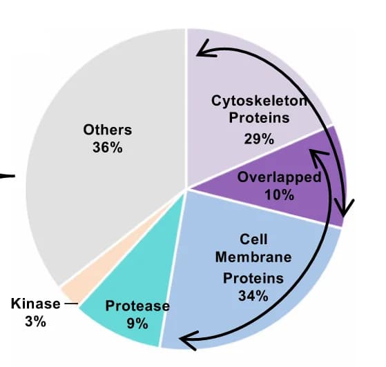 Open access visualization of Pie Chart, Functional Annotation, Proteins, PD-1H-His 6, Pull-down Samples