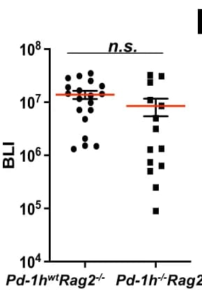 Open access visualization of Scatter Plot, Error Bars, PBS, 5TGM1-luc Cells, Mice