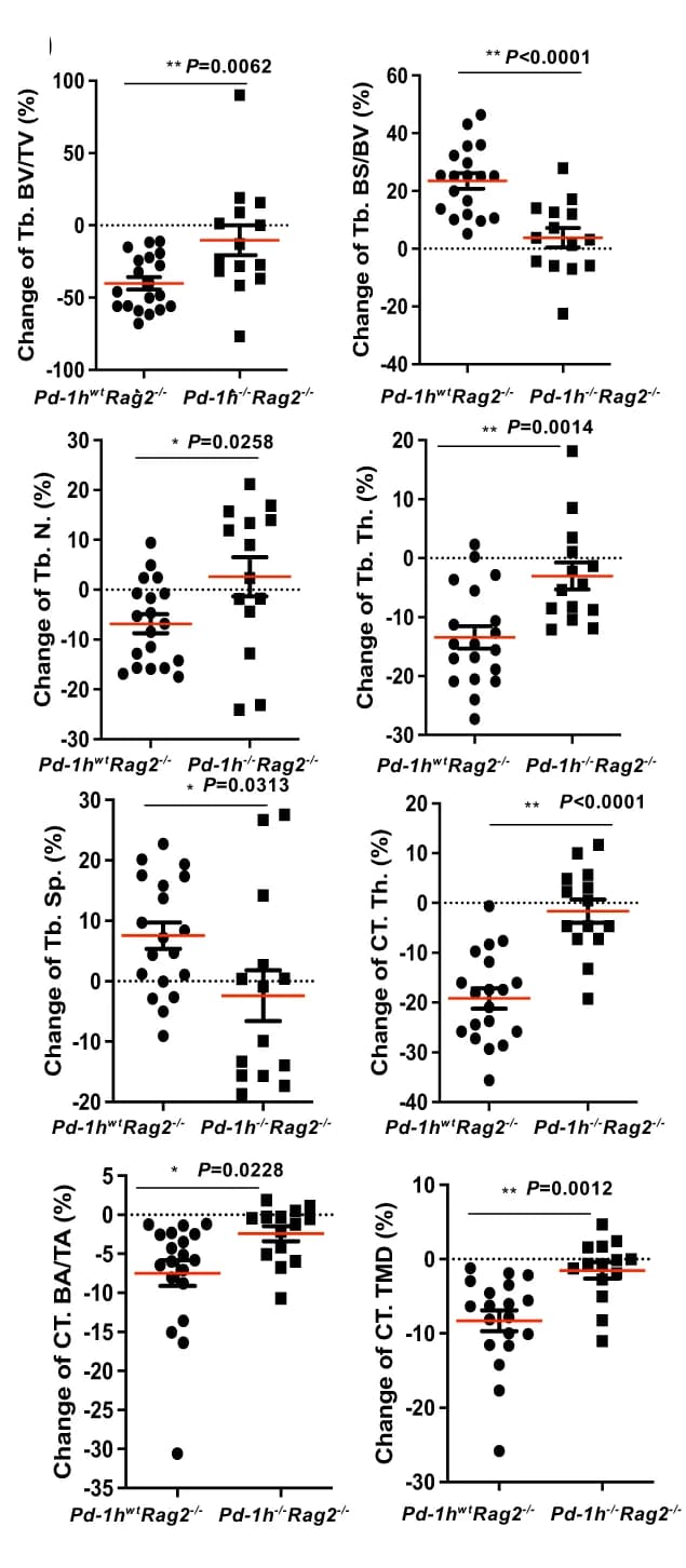 Open access visualization of Scatter Plot, Error Bars, Trabecular Bone, Cortical Bone, Mice Tibiae
