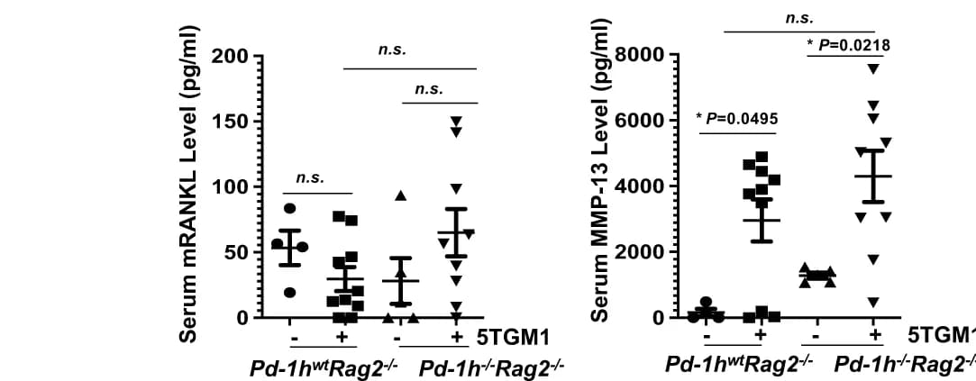 Open access visualization of Scatter Plot, Error Bars, Mice Serum, RANKL Levels, MMP-13 Levels